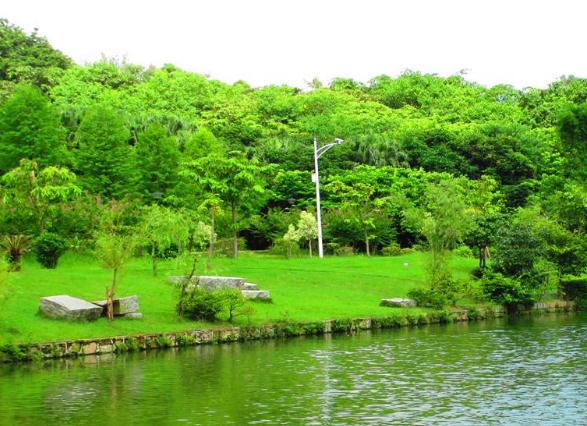 人工植被的應(yīng)用有什么樣的效果和作用呢？