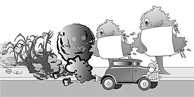 省生態(tài)環(huán)境廳、省公安廳來(lái)我市調(diào)研機(jī)動(dòng)車污染防治工作