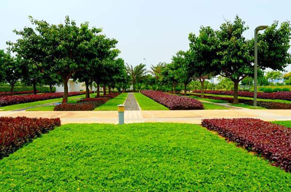 園林綠化常見問(wèn)題總結(jié)，值得收藏