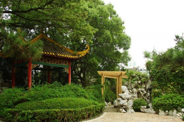 如何讓土地“變肥”，讓樹苗“夠吃”？