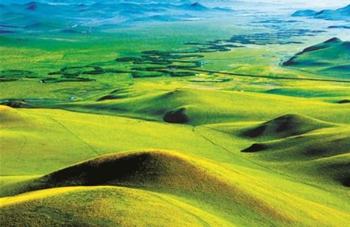 專家：如何發(fā)揮草地多功能助力國家公園建設(shè)？