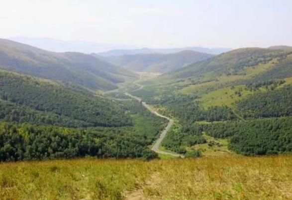 國家森林公園被“毀容”，誰在選擇性“失明”？