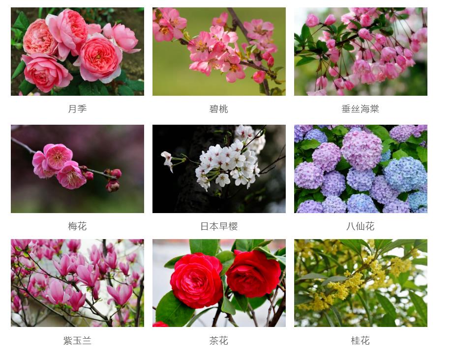 園林景觀工程如何節(jié)約成本？