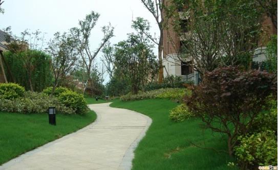 小區(qū)園林綠化施工需要遵循的五大原則有哪些？