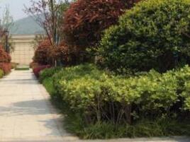 園林設計的原則一般有什么呢？