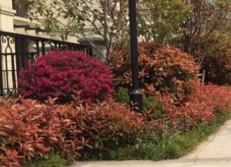 在園林設計布局中，色彩因素要注意什么？