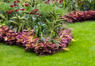 園林景觀設(shè)計，要注意什么事項呢？